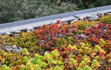 the cost of Chatcull green roof installation
